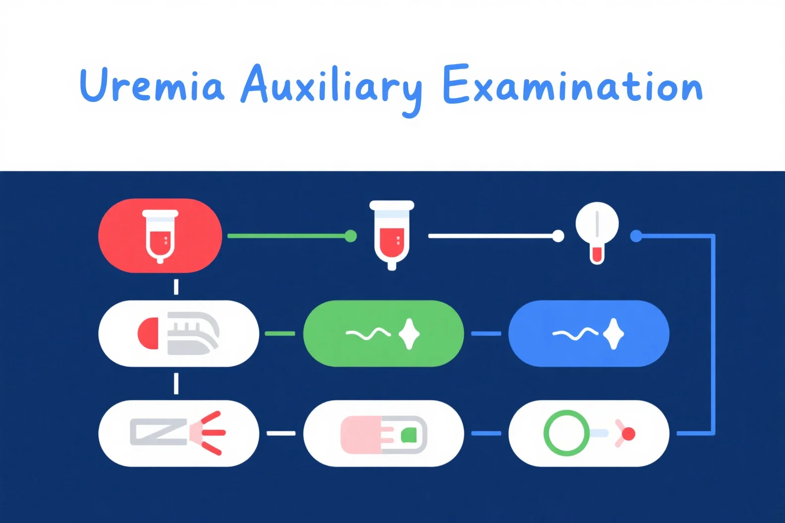 Learn about auxiliary examinations for uremia, including blood, urine, renal function, and imaging tests to diagnose and monitor the condition effectively.